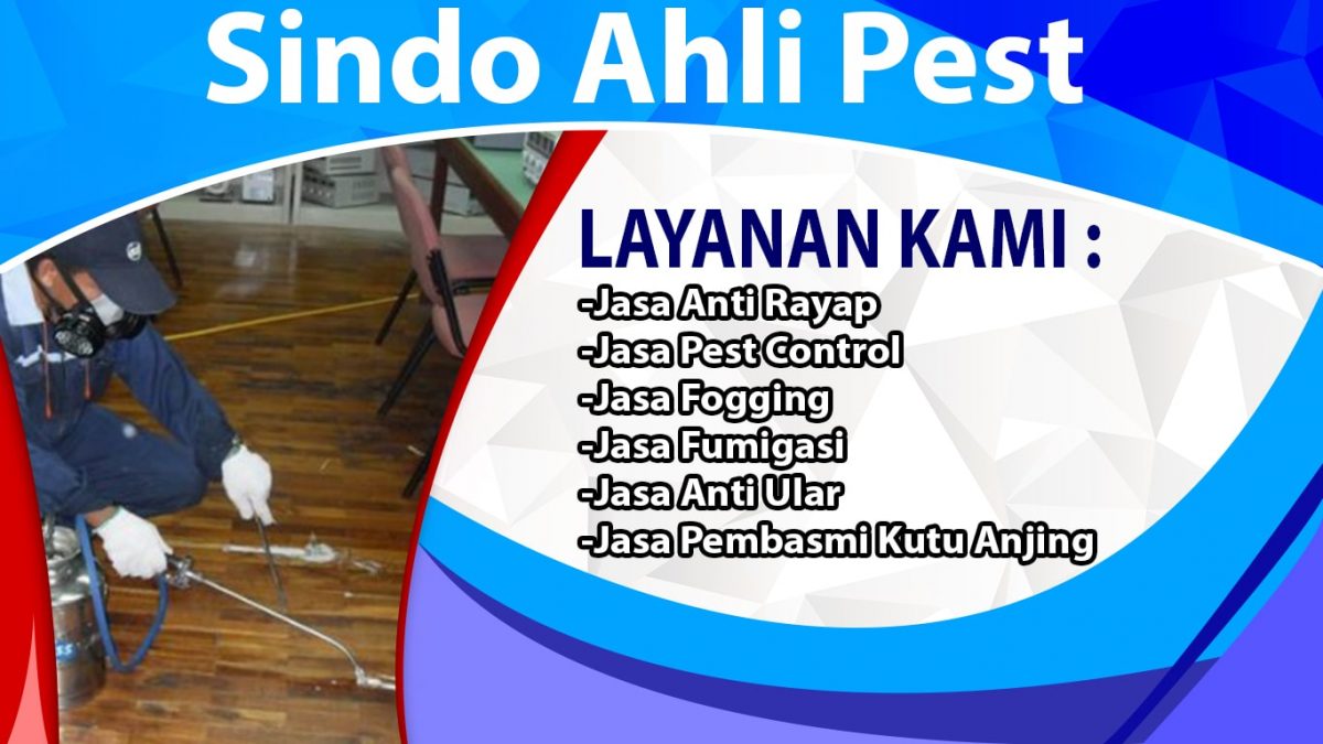 Pest Control – Sindo Ahli Pest